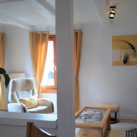 Gites Aux Fines Bulles D'Alsace Spa Privatif En Supplement Bergheim Exterior photo