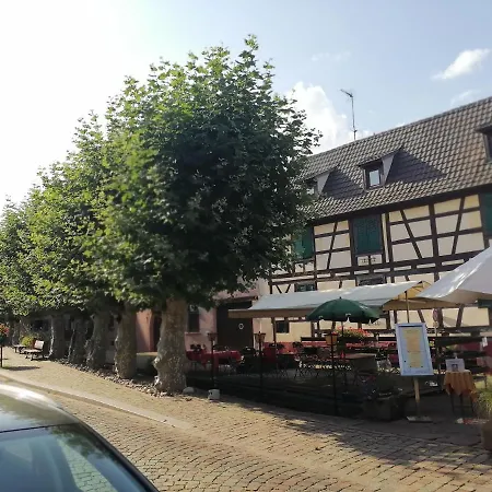 Gites Aux Fines Bulles D'Alsace Spa Privatif En Supplement Bergheim Exterior photo