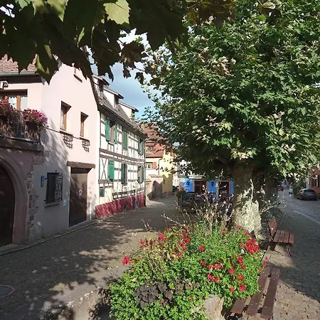 Gites Aux Fines Bulles D'Alsace Spa Privatif En Supplement Bergheim Exterior photo