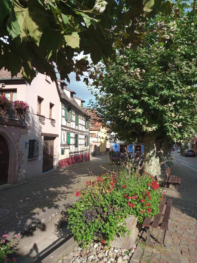 Aux Fines Bulles D'alsace Privatif En Supplement Bergheim